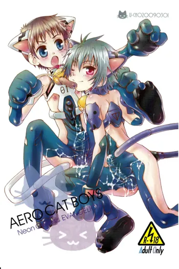 AERO CAT BOYS, English