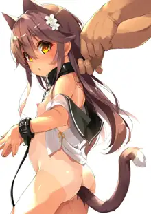 Neko Neko Note 8 Nekomimi Shippo no Hiyake Loli ni Kubiwa o Tsukete Icha Love Seikatsu Suru Hon, 中文