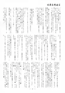 迷宮因果妄想, 日本語