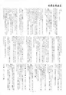 迷宮因果妄想, 日本語