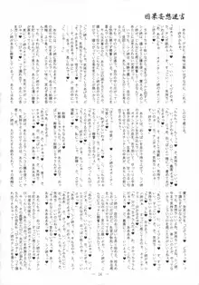 迷宮因果妄想, 日本語