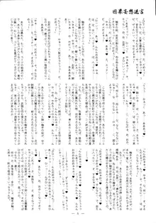 迷宮因果妄想, 日本語