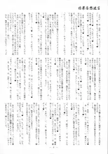 迷宮因果妄想, 日本語