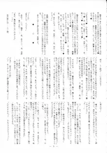 迷宮因果妄想, 日本語