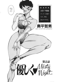 優しくMisty Night, 日本語