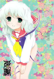 Touhou Sou Tennen Shoku Kisekae Goudou, English