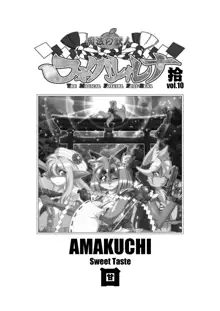 魔法の獣人フォクシィ・レナ10, 日本語