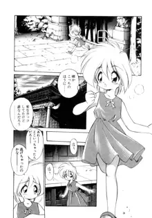 毎日がWONDER LAND, 日本語