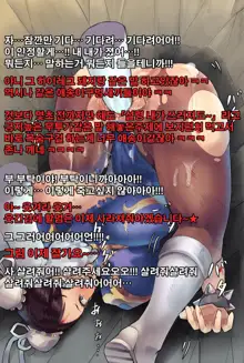 Chun-Li Daikatsuyaku!, 한국어