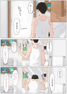 母さんじゃなきゃダメなんだっ！！1-6 +番外篇, 中文