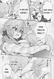 Servant MikoTuber Tamamo-chan, 한국어