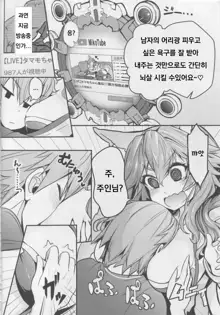 Servant MikoTuber Tamamo-chan, 한국어