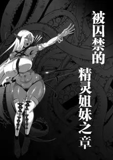 Inmon Akuochi no Hime Kishidan, 中文