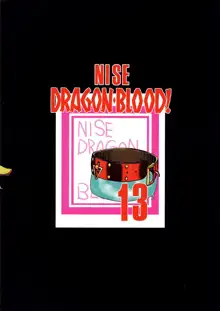 Nise Dragon Blood! 13, 한국어