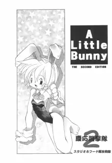 A Little Bunny, 日本語