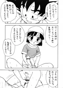 パンピードラゴン, 日本語