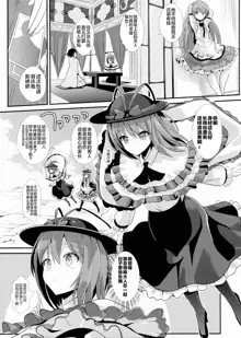 Touhou Kabeshiri 5 Nagae Iku, 中文