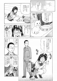 ふつうじゃない はじめて, 日本語