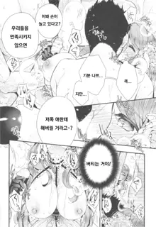 Hanakago no Toriko, 한국어