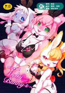 Youkoso! Melty Bunny's e | 欢迎来到 Melty Bunny's!, 中文