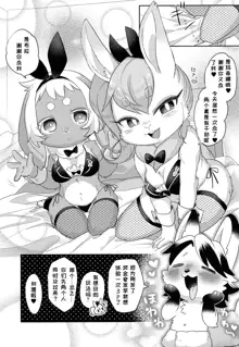 Youkoso! Melty Bunny's e | 欢迎来到 Melty Bunny's!, 中文