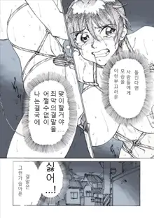 Roshutsu Hime No Hitsuzenteki Kyuuchi 2, 한국어