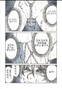 Roshutsu Hime no Hitsuzenteki Kyuuchi (Kou) | 노출공주의 필연적 위기2, 한국어