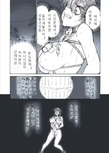 Roshutsu Hime no Hitsuzenteki Kyuuchi (Kou) | 노출공주의 필연적 위기2, 한국어