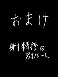 ディズィーさんを後ろから・・・, 日本語