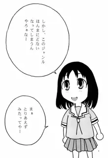 平成にんふらばぁ 14, 日本語