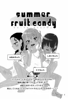 summer fruit candy, 日本語