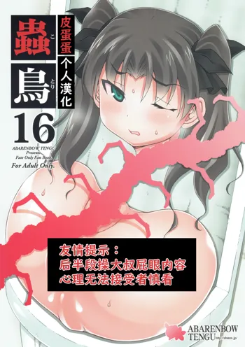 Kotori 16, 中文