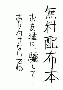 がんばれともみちゃん, 日本語