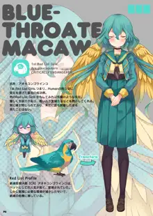 MACAW;EDUCATION, English