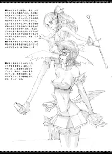 魔法少女総集編1, 日本語