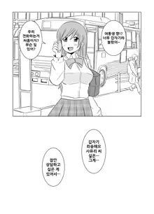 Watashi no Nii-san wa..., 한국어