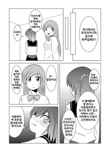 Watashi no Nii-san wa..., 한국어