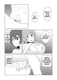 Watashi no Nii-san wa..., 한국어