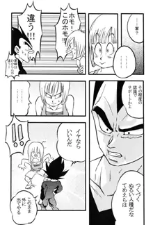 Bulma's OVERDRIVE!, 日本語