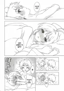 Sakura to Syaoran to Warm Bodies, 한국어