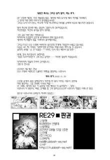 RE29, 한국어