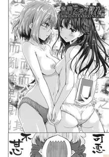 Kimi no Oppai o Shaburitai (decensored), 中文