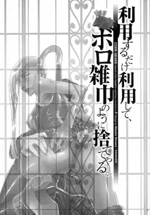 利用するだけ利用して、ボロ雑巾のように捨ててやる。, 日本語