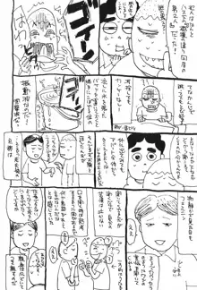 桃山汁, 日本語