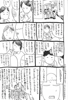 桃山汁, 日本語