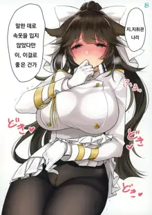 Kanmusu to Ecchi na Koto o Shiteiru Illust Bon, 한국어