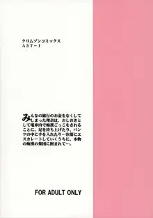 理奈痴漢被害, 日本語