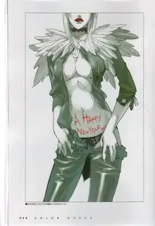 PORNOJESTER ~Niθ Art Works Collection~, 日本語