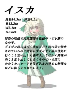 ツメモノ, 日本語