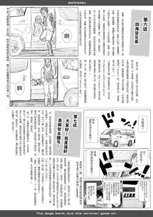 One Piece Kanzenban, 中文